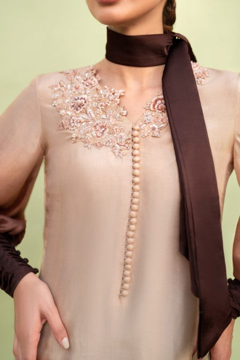 BROWN OMBRE