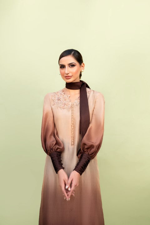 BROWN OMBRE