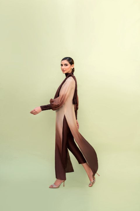 BROWN OMBRE