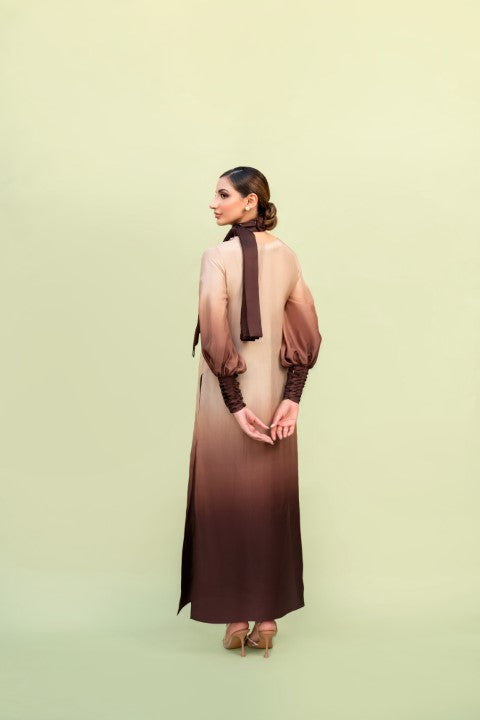 BROWN OMBRE